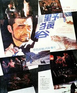 野狼谷海拔多少米