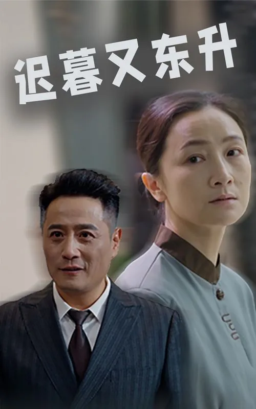 迟暮又东升短剧大结局