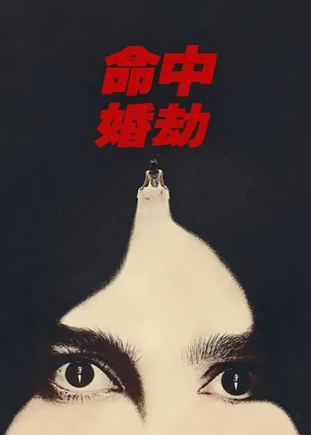 命中劫爱情含义