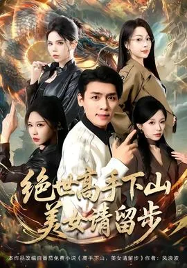 绝世高手下山,美女请留步的小说
