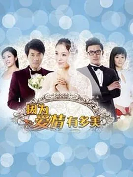 因为爱情有多美电视剧全集免费观看完整版