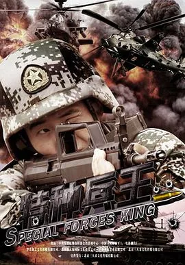 特种兵王龙之北第二季