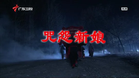 咒怨新娘电影完整免费版