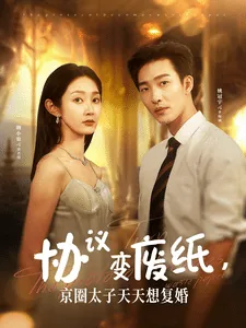 协议变废纸,京圈太子天天想复婚免费