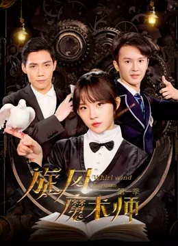 旋风魔术师第一季电视剧
