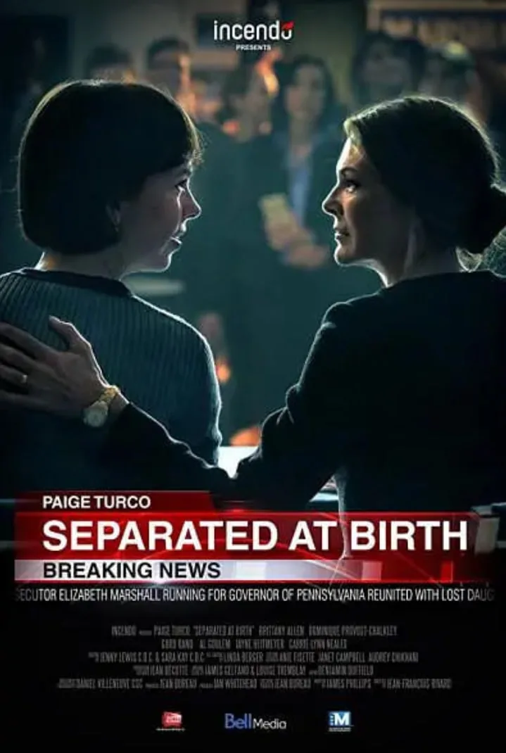 众叛亲离妻离子散的意思