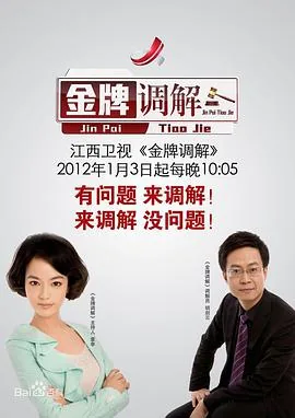 金牌调解哪一年开始的