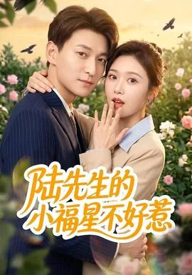 陆先生的小幸运免费全文