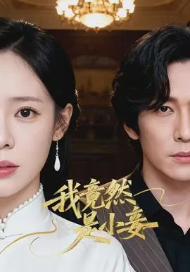 我竟然是小妾全文阅读