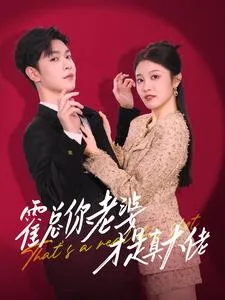 霍总你老婆又闹离婚