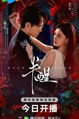 半醒小说