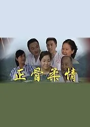 正骨柔情 电视剧免费观看