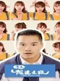 青春极速之旅客服电话