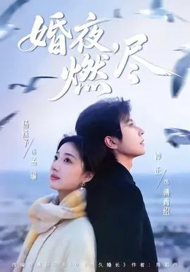 婚夜燃尽by陈若舟 小说