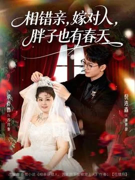 相错亲嫁错人的小说