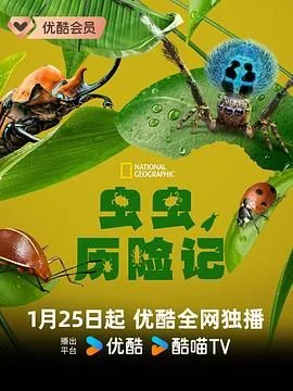 虫虫历险记国语版在线观看