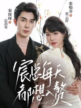 宸总每天都想入赘短剧在线下载
