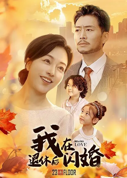我退休后闪婚短剧