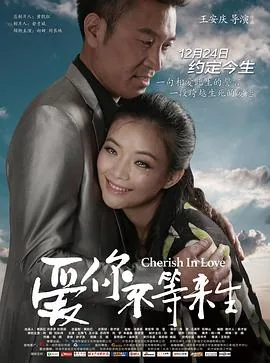 爱你不等来生在线播放