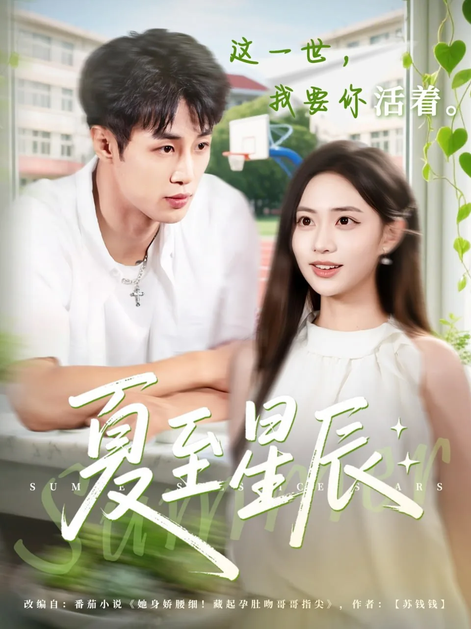 夏至星辰小说