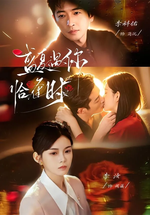 婚夜温柔（盛夏遇你恰逢时 ）
