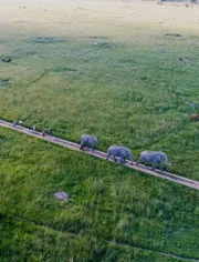 大自然的守护者是谁