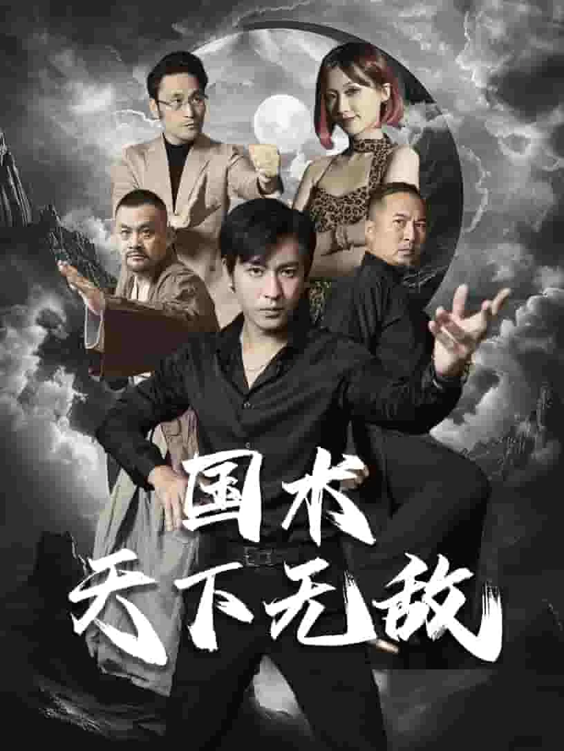 国术天下无敌短剧免费在线观看