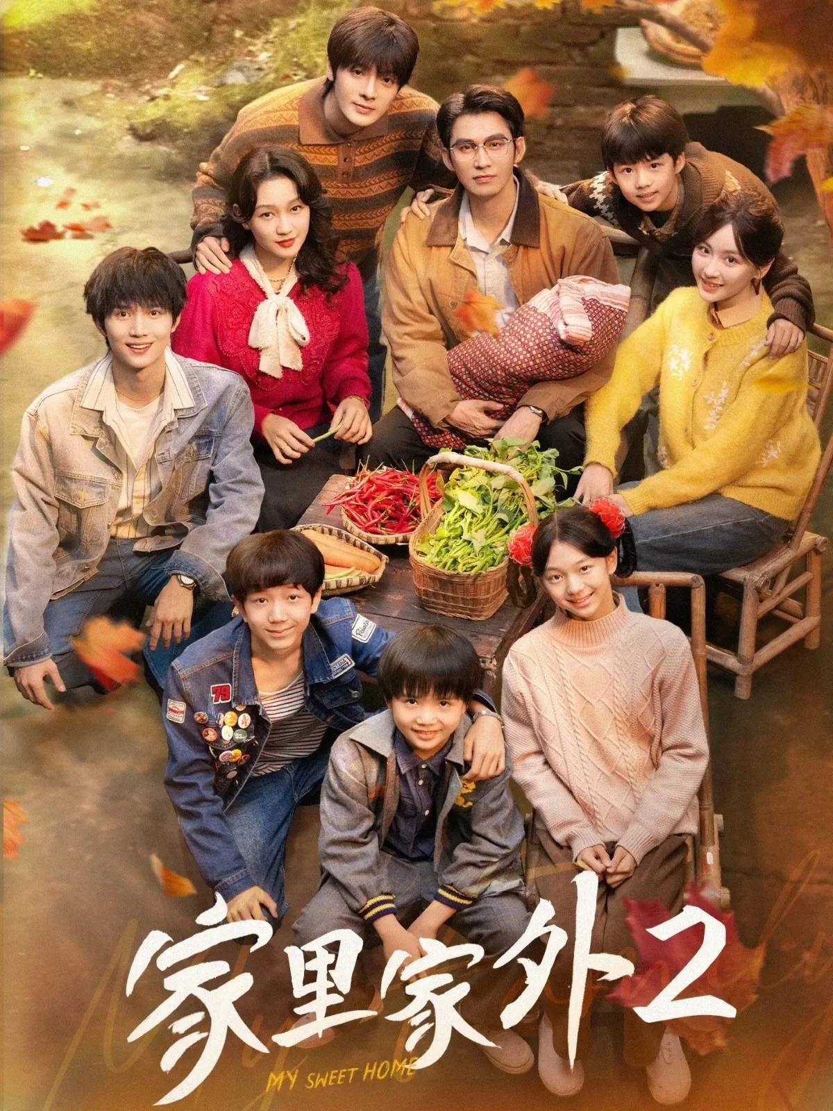 家里家外第二季腾讯视频播吗