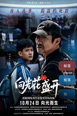 向光花盛开联系方式