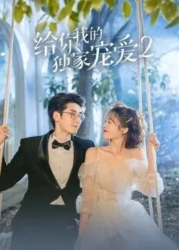 给你我的独家宠爱2是什么小说