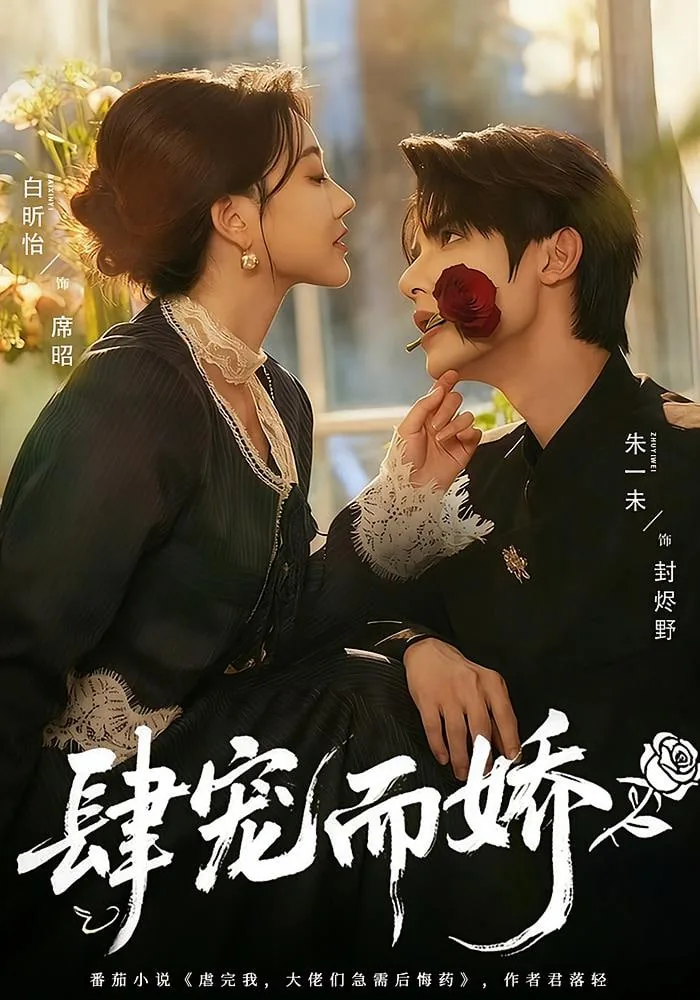 肆宠而娇剧集推荐