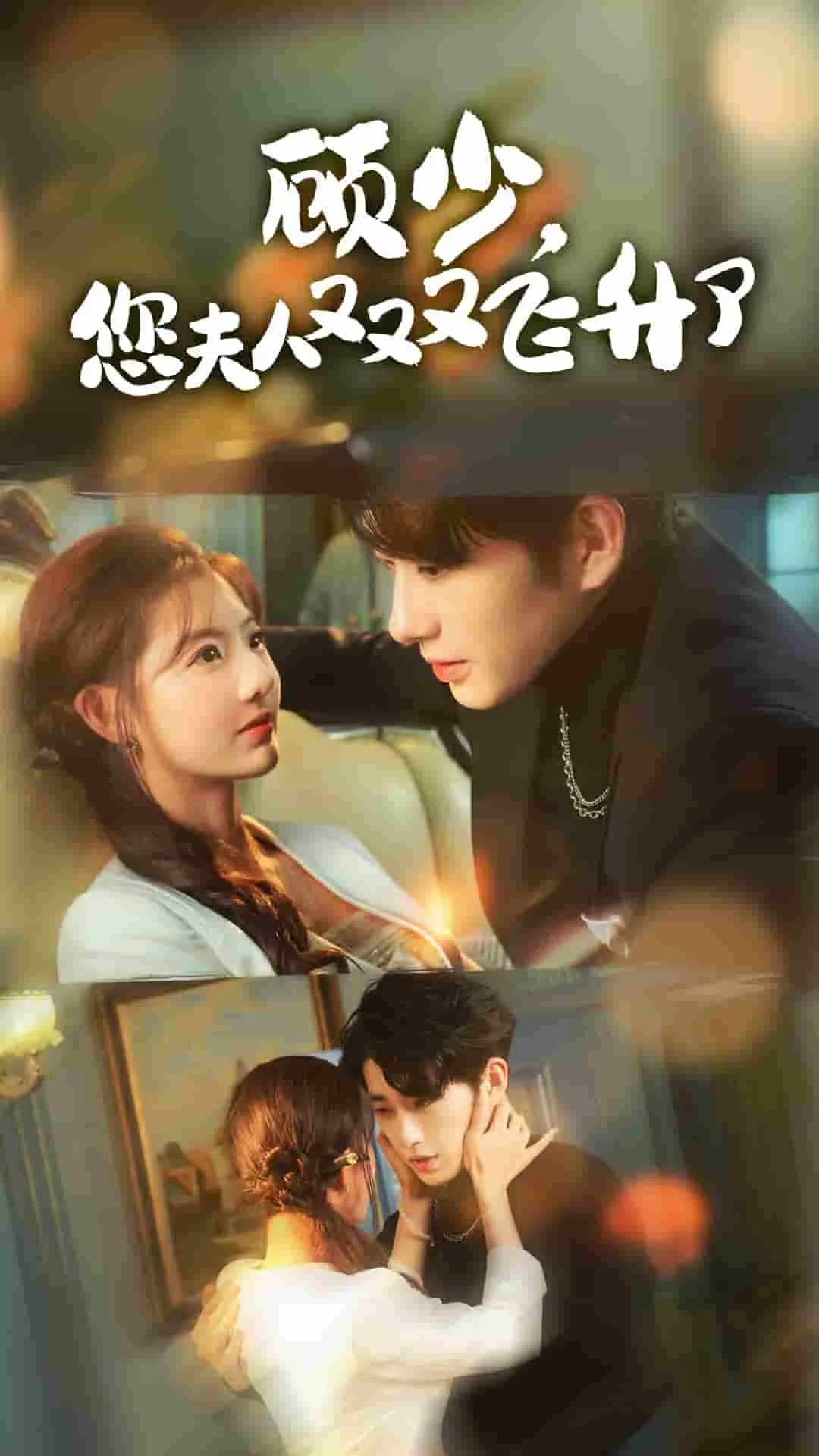 顾少夫人又逃了