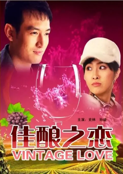 佳酿vvv