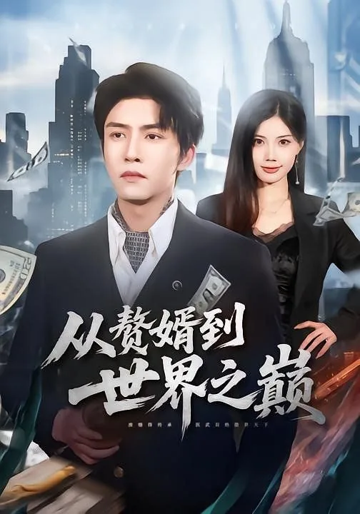 赘婿是世界首富的小说