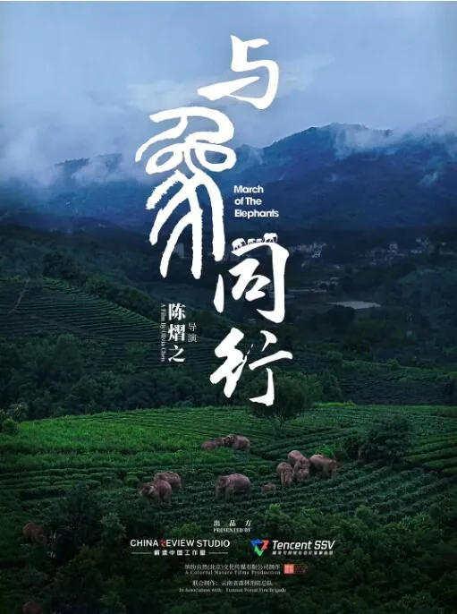 与象共舞百科