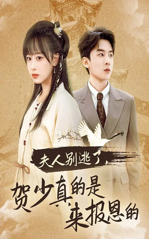 夫人别逃了贺少真的是来报恩的短剧