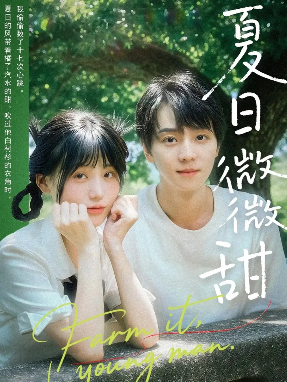 夏日微微甜陆璟宋宁短剧