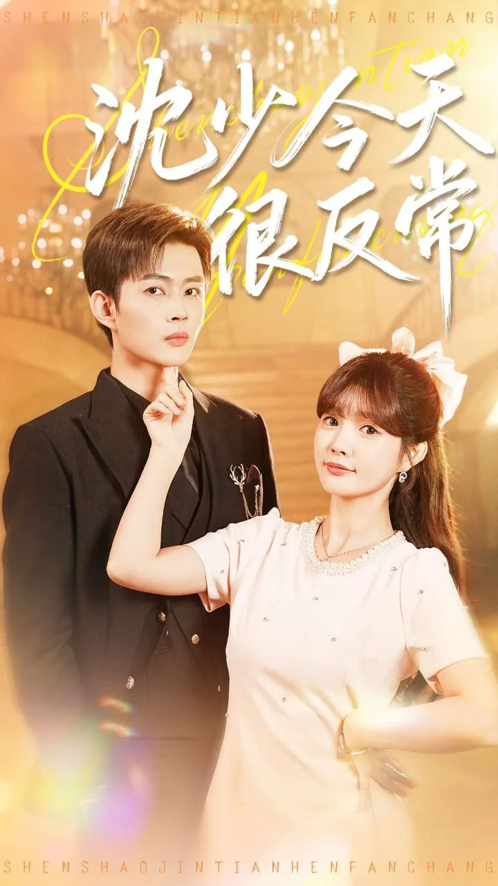 沈少今天又又求婚了吗