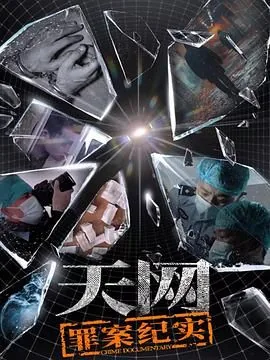 天网罪案纪实在线观看