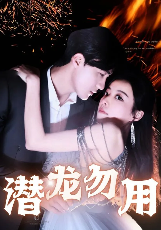 潜龙勿用这首歌表达了什么