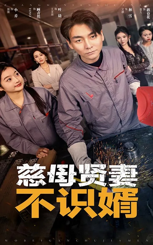 慈母贤妻不识婿小说阅读