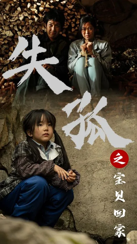 失孤之宝贝回家短剧