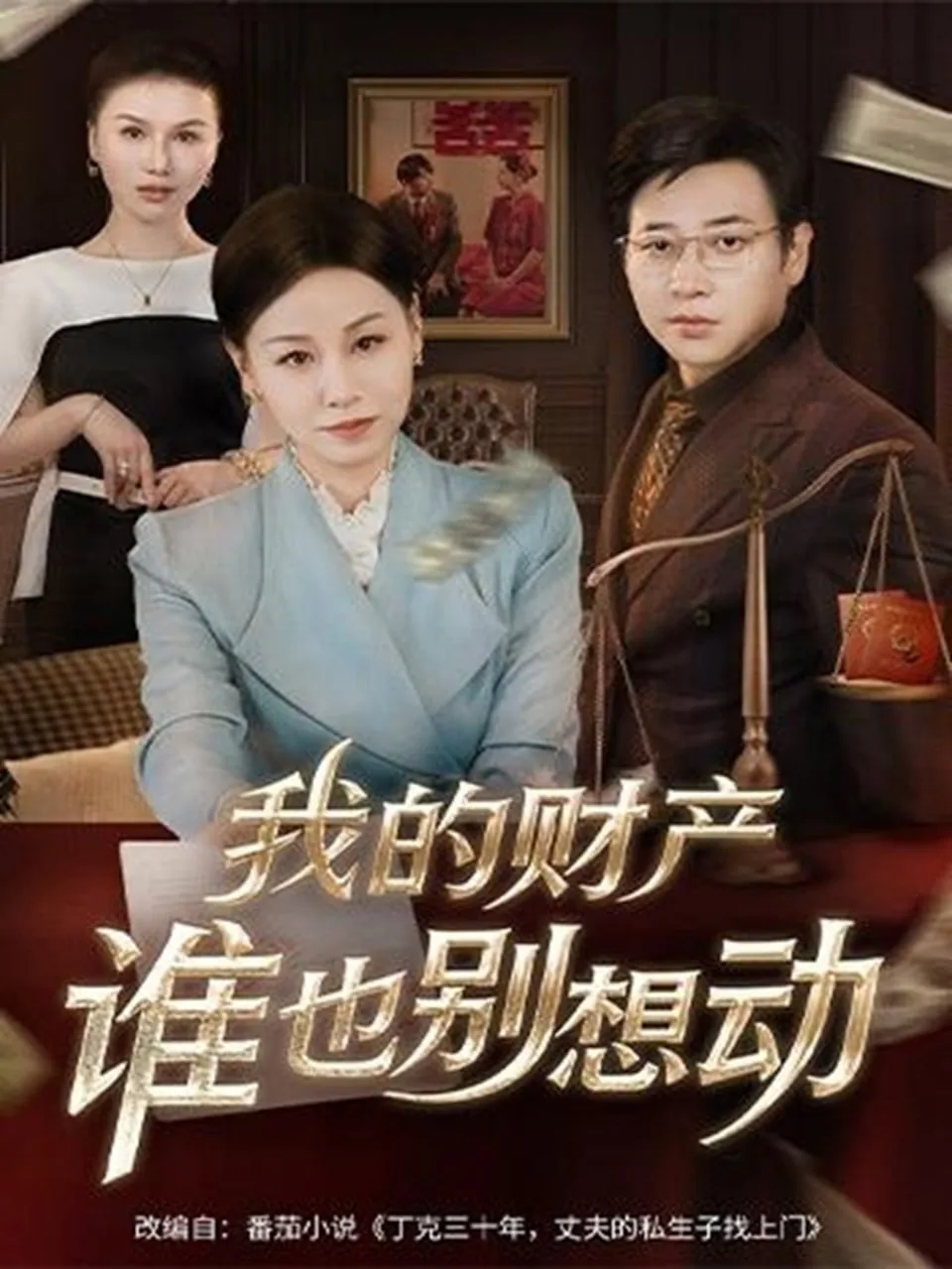 我家的财产