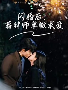 闪婚律师宠妻小说