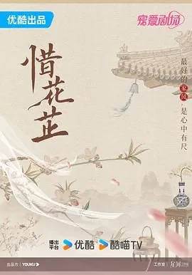 惜花芷小说讲的什么