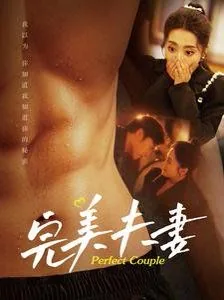 完美夫妻美国电影
