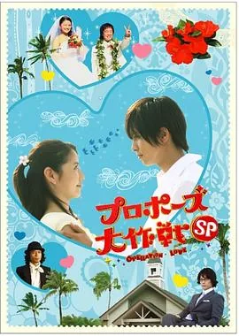 求婚大作战 剧情