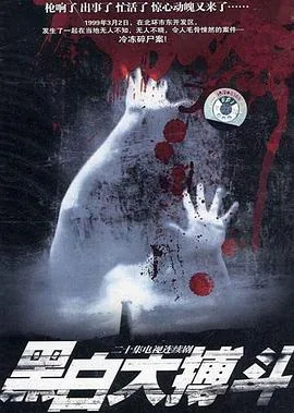 黑白大搏斗电视剧视频