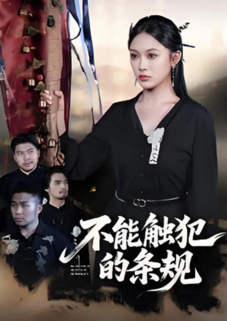 不能触犯的条规那个电视剧上可以看