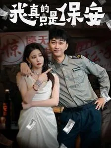 我真的只是保安小说下载